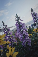 A4A8204B-0FF6-4C3B-8878-83F80F77F896/L0/001