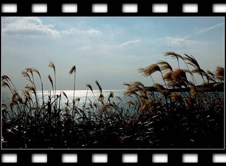 IMG_7453-2