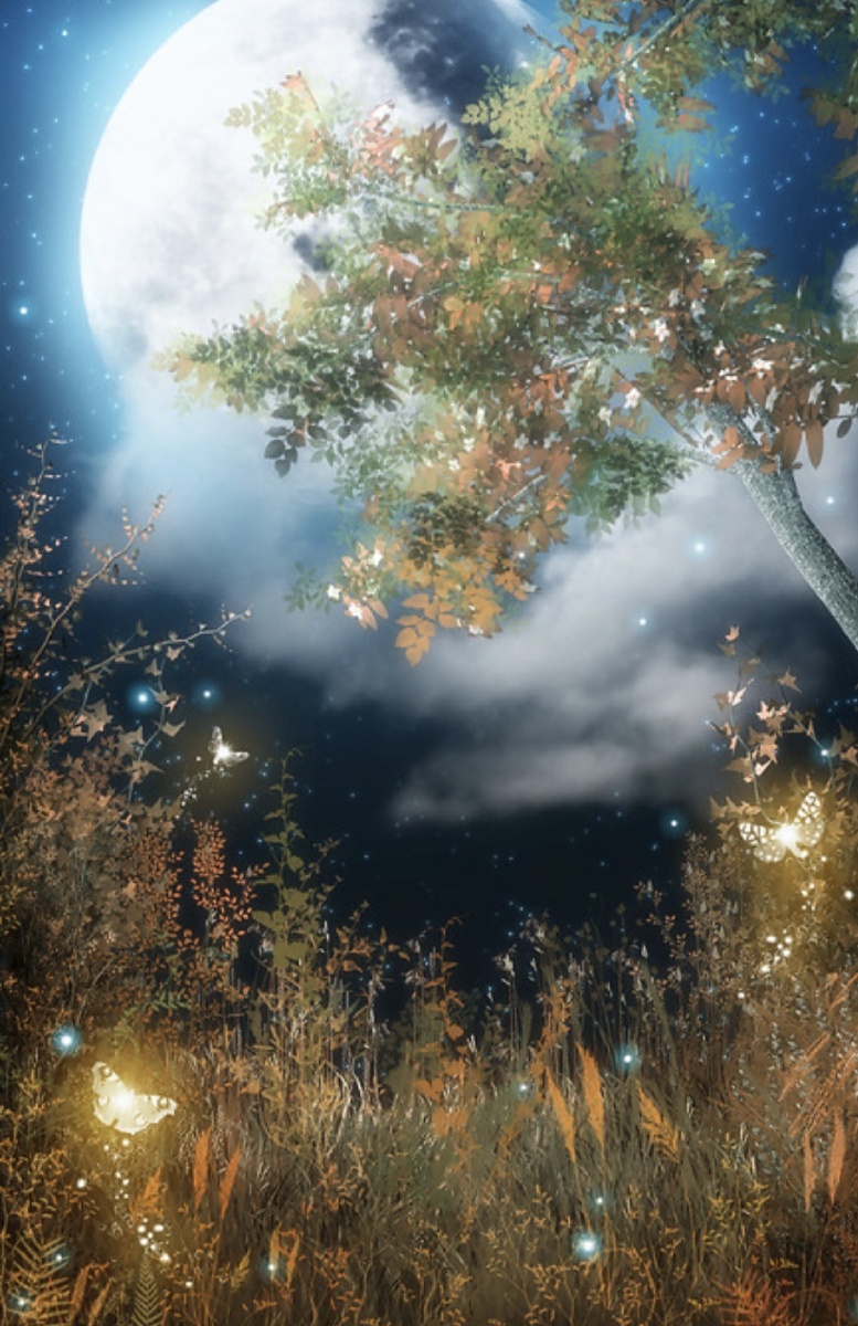 梦幻仙境唯美图片