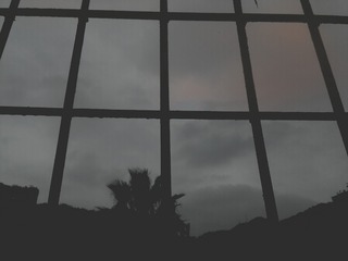 199038