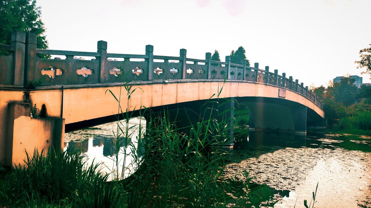 公园61景观3461桥梁组图