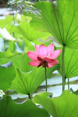 001