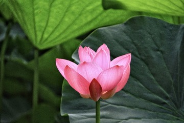 001