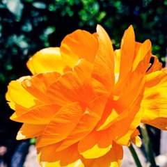 1205652
