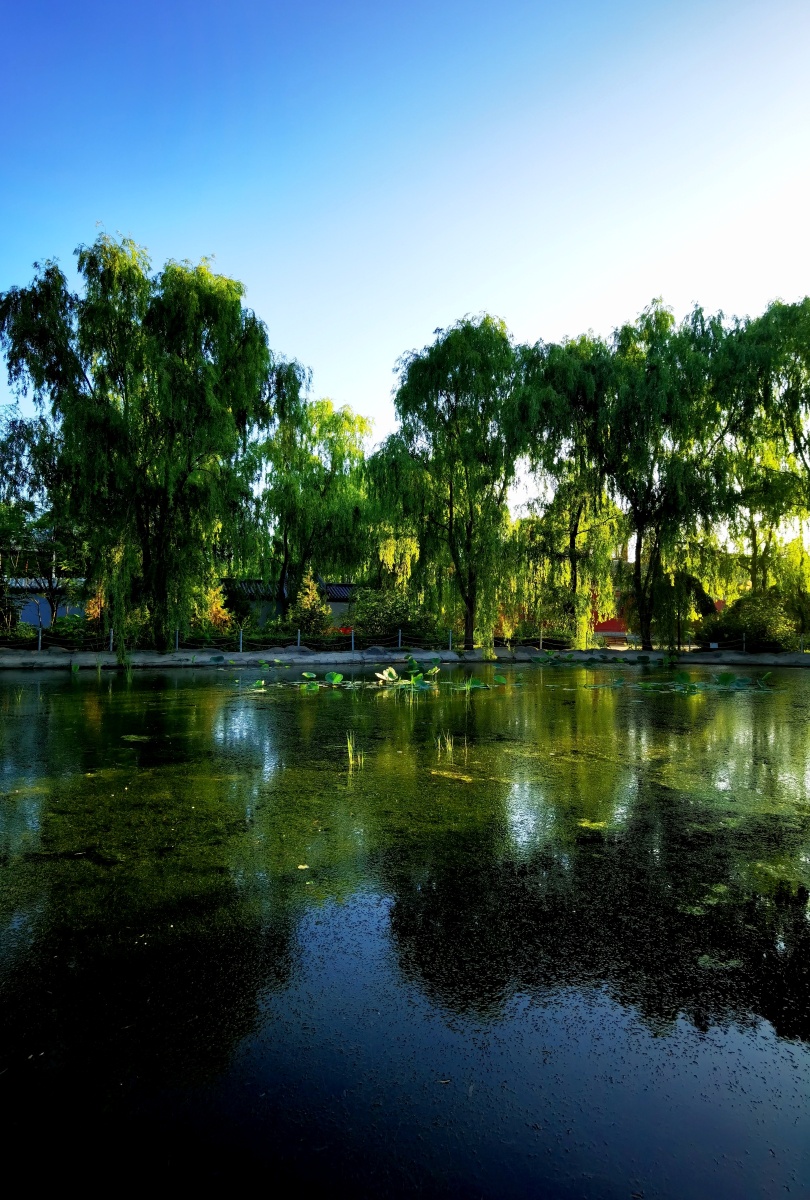 唯有门前镜湖水春风不改旧时波烟波不动影沉沉碧色全无翠色深