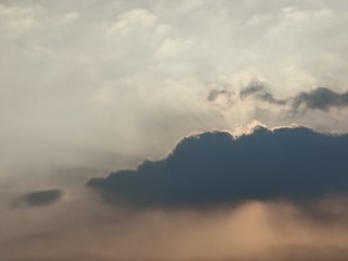 1000022855