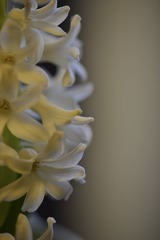 E1499038-14D1-4631-80E9-669CAE89CF0B/L0/001