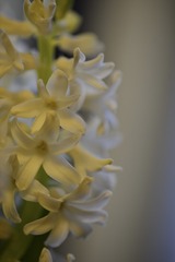 004D5E79-34AD-463A-A2D2-0DB7EF1DB4B5/L0/001
