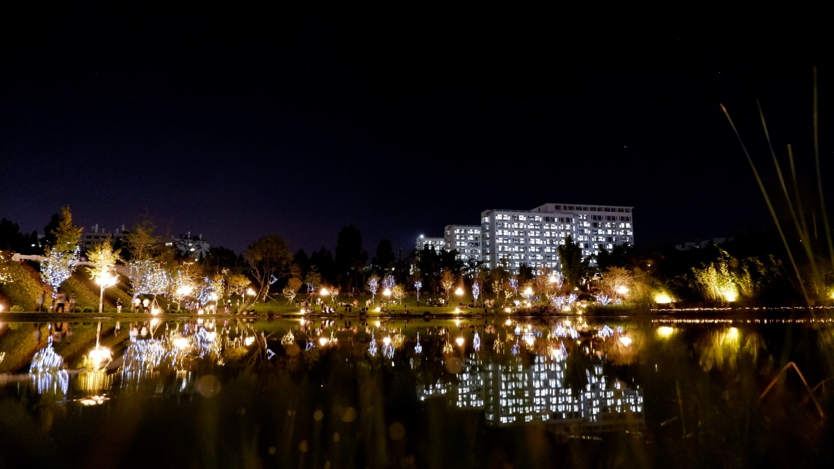 西南林业大学