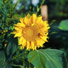 BC79B67B-67CC-48CB-AC3D-14BBC8E6E61A/L0/001