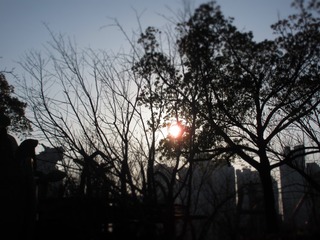 6ED9DE97-B26F-43E5-924D-B5ED77B6CD60/L0/001