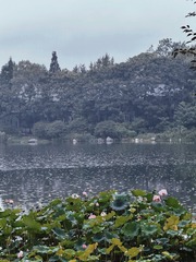 D4812046-745D-460A-93F8-A23A5A0200D7/L0/001