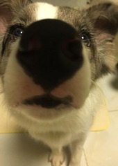 178
