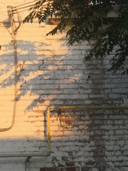 1000004580