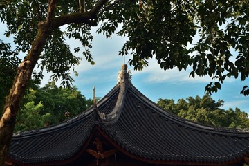 A37D365D-216B-40A4-AF78-C89D03669253/L0/001