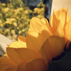 9EF46039-AFBF-43C6-AD3D-83CCFD888602/L0/001