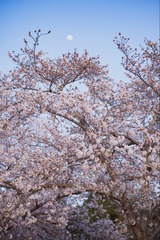 9573BB9D-4024-469E-B6E3-0A0D84452950/L0/001