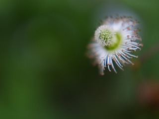 865