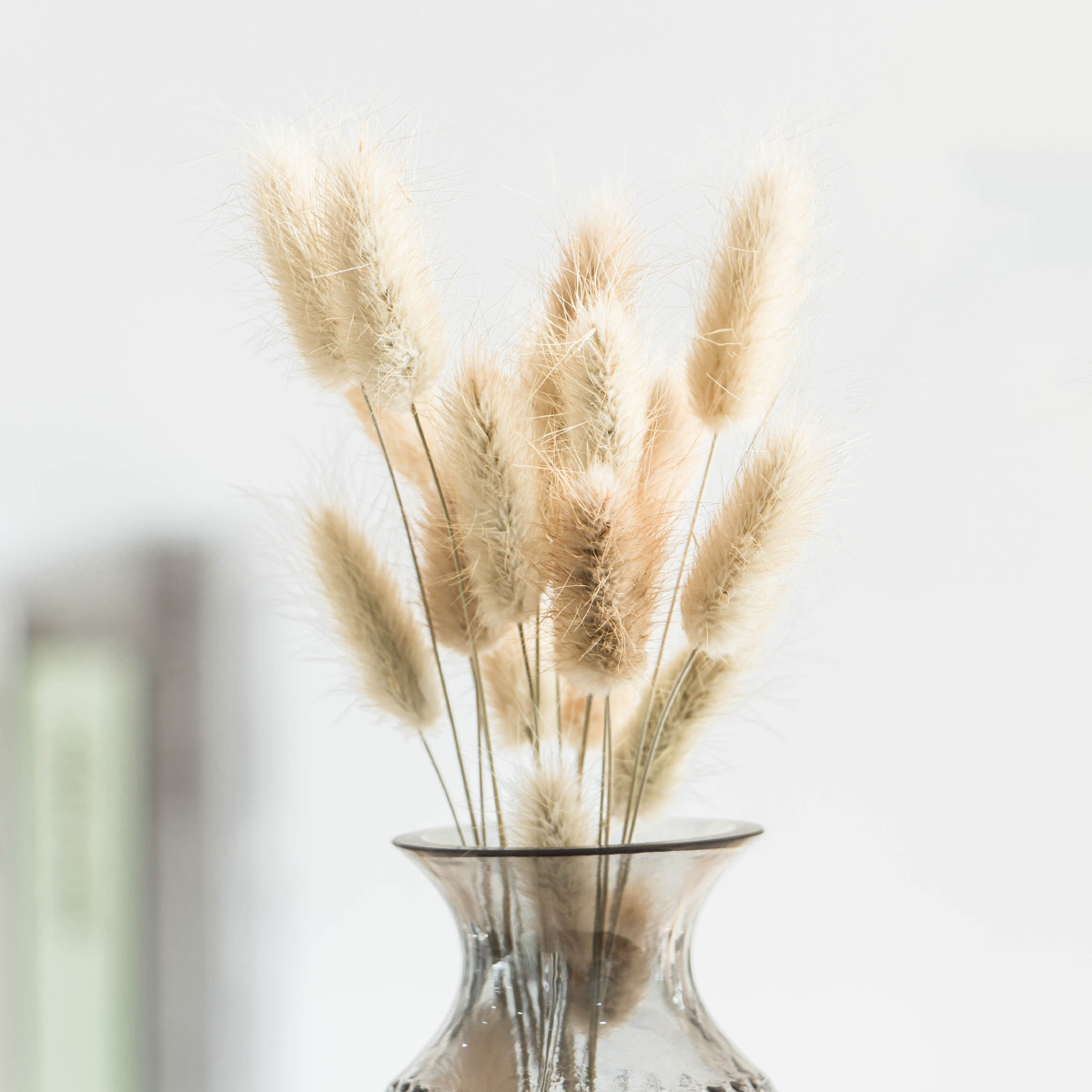 北欧兔尾草装饰插花