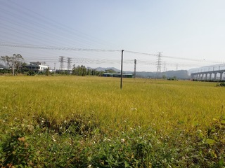 3125627