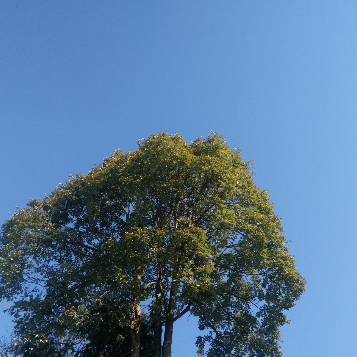 文艺说说风景配图