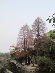 F63172AB-0545-469F-A6D7-E85B2138838E/L0/001