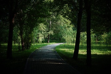 164633