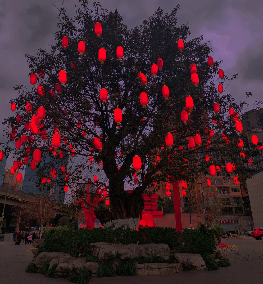 春节,过年,喜庆,万家灯火,灯笼,大树