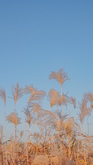 E4B39764-186D-4E5C-B0AC-5DA1A00167CF/L0/001
