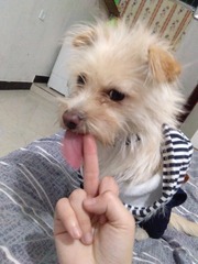 74839