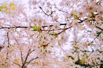 5823243A-AB6A-46BC-BE0B-31C9CD788194/L0/001