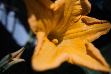 5DBBBDE0-A9DC-402C-85D7-307F4256933A/L0/001