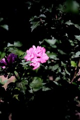 F2A3D688-8C58-400C-98A6-4350662B5DB7/L0/001
