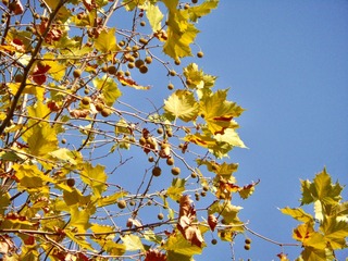 D7218FC7-87C7-4014-9F79-2FD863550275/L0/001