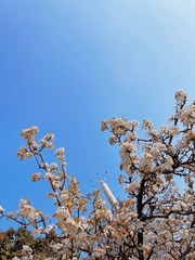 A5310A81-A2B7-4F7A-A303-3DC855224086/L0/001