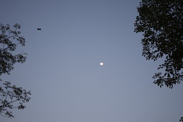 FA0B1171-5CCC-4F9F-97FC-B79372370F5F/L0/001