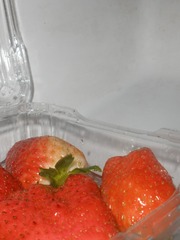 0CB6E1E5-4652-47DE-8CA0-8AC3D12215ED/L0/001