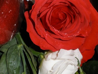 8D014866-FB65-4547-818C-BC447C27A5F5/L0/001