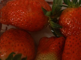 005CF82C-2C70-49A8-BF7A-105F6D7500DD/L0/001