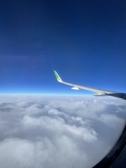 46C6D76B-960E-4467-985B-2750229E6E4C/L0/001