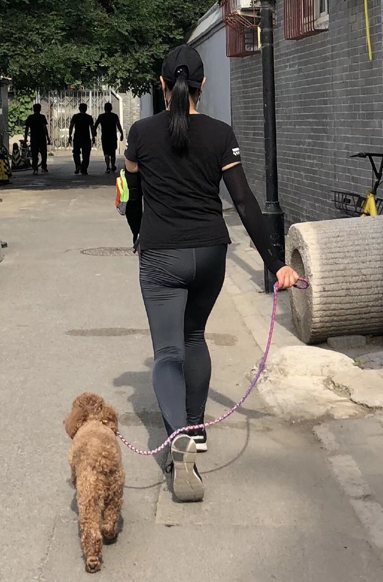 遛狗的年轻女子
