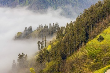 山澳里