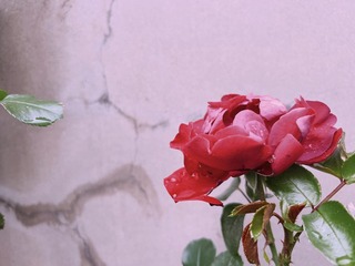 B6B00763-4B8A-4EA5-9127-2B9FF70DC2F9/L0/001