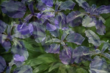 2B8F7BFE-8BC9-448B-96C8-B531B61CC5F7/L0/001