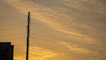 1E3EF6A9-2DD1-480D-B191-0C3CBDD28681/L0/001