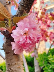 31BF8CA0-B387-4B8B-97A8-DB47406AAECC/L0/001