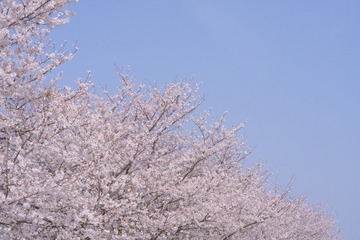 62B72299-A553-4CDF-8829-0BB886FD9ACE/L0/001