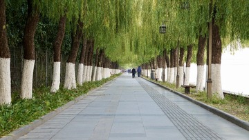 F3D58BA1-E2DE-4113-B50E-80C04926F397/L0/001