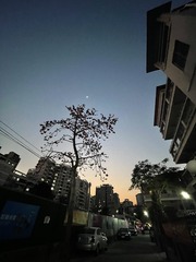C1185F19-4215-47C2-8B64-AD98030DC9B1/L0/001