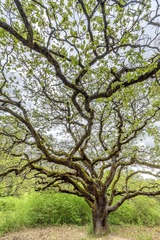 20111113352_副本.jpg